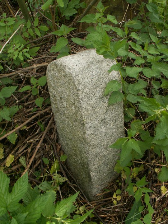 Brunnkress