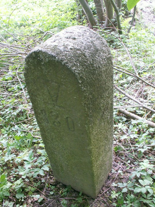 Brunnkress