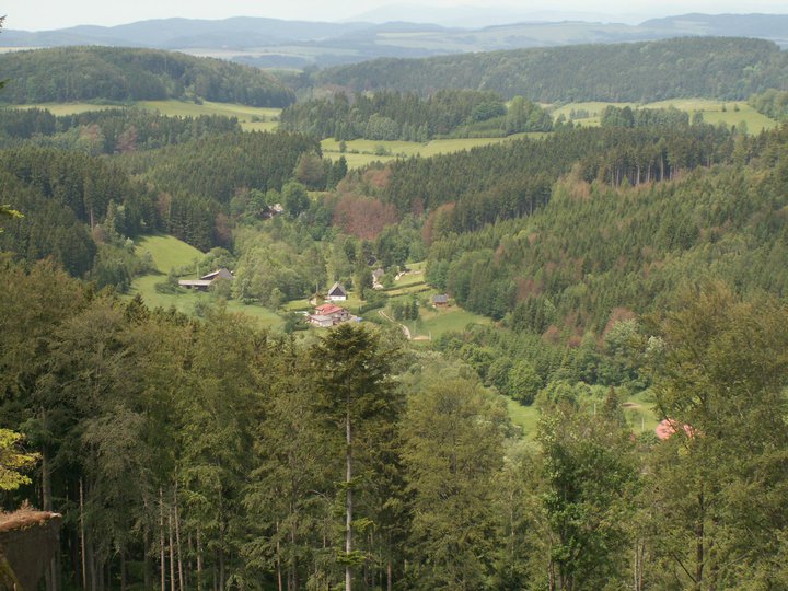 Brunnkress