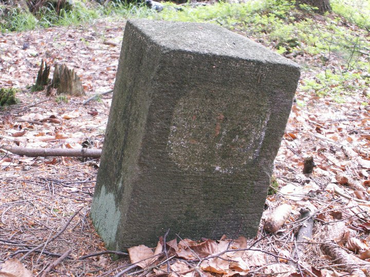Brunnkress