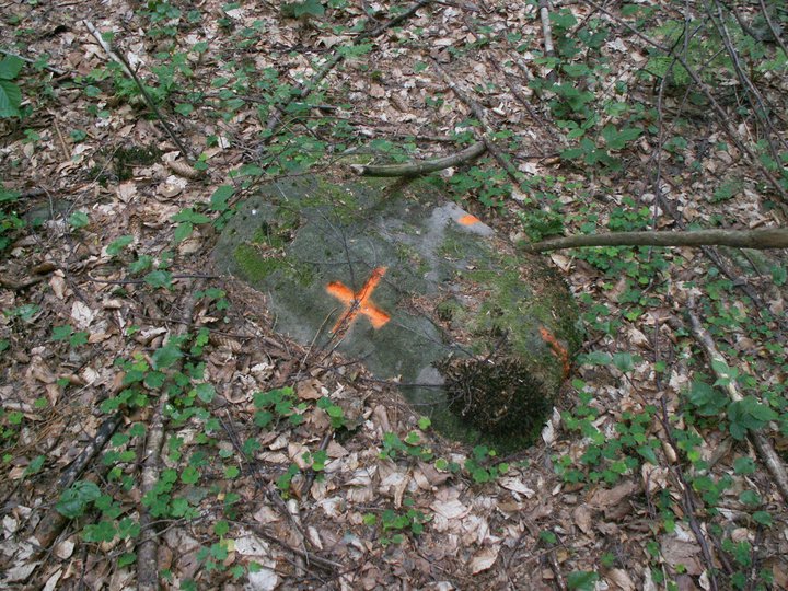 Brunnkress