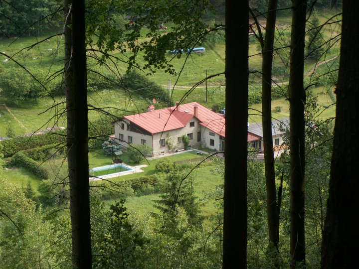 Brunnkress