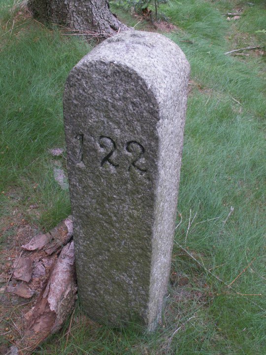 Brunnkress