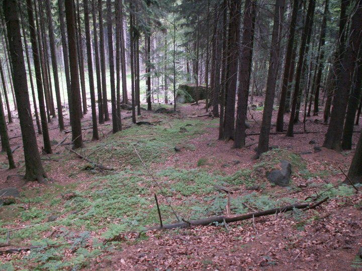 Brunnkress