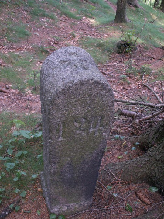 Brunnkress