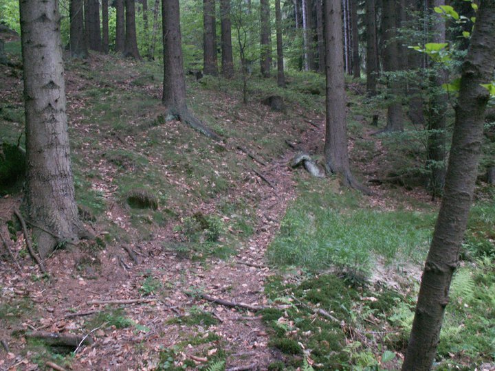 Brunnkress
