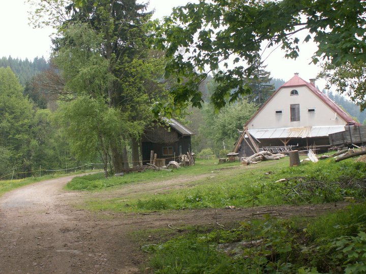 Brunnkress