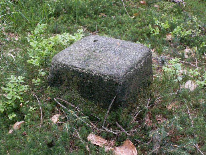 Brunnkress