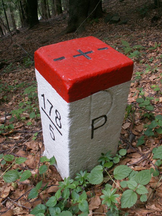 Brunnkress