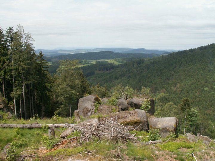 Brunnkress