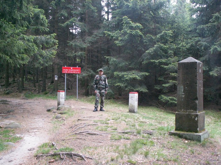Brunnkress