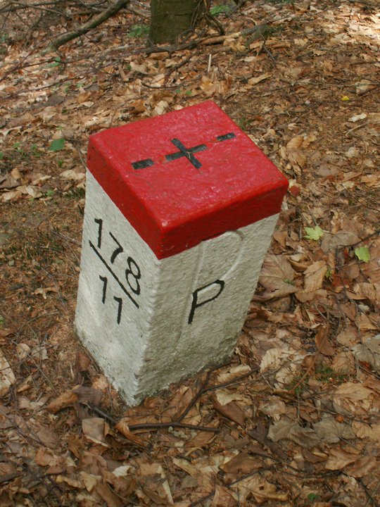 Brunnkress