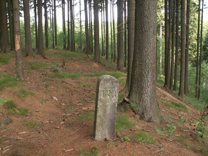 Brunnkress