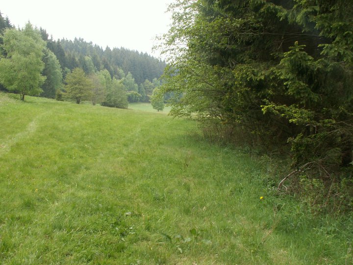 Brunnkress