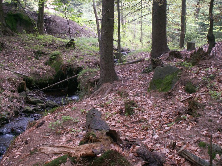 Brunnkress