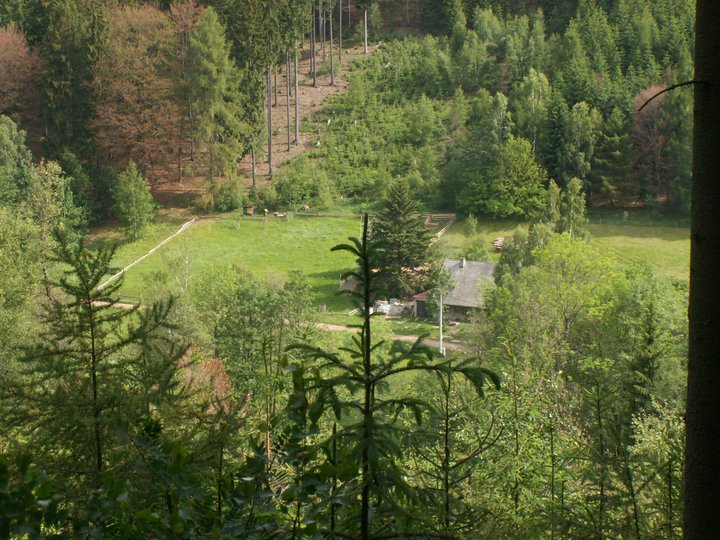 Brunnkress