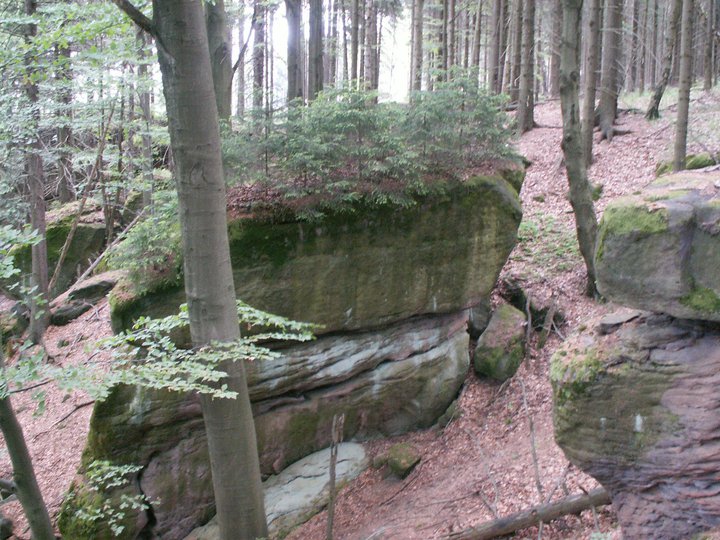 Brunnkress