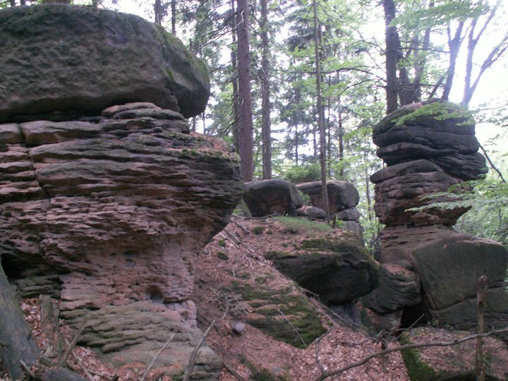 Brunnkress