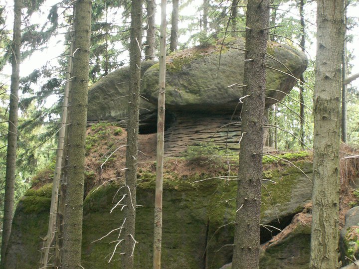 Brunnkress