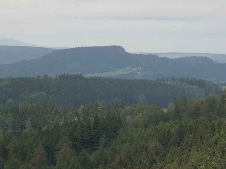 Brunnkress