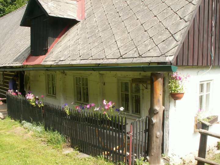 Brunnkress