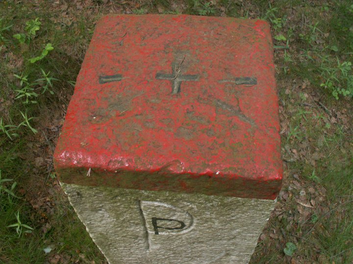 Brunnkress