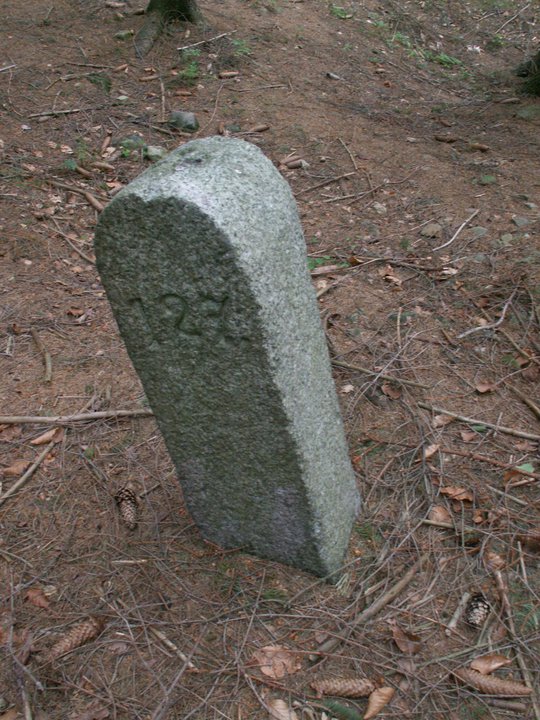 Brunnkress