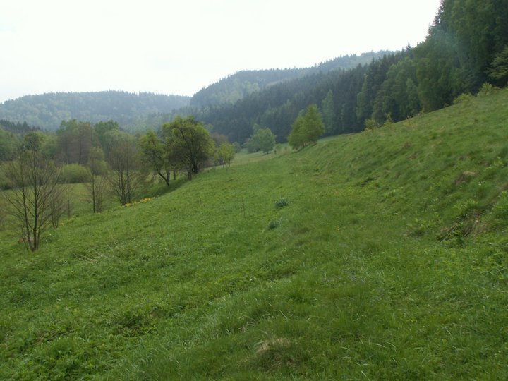 Brunnkress