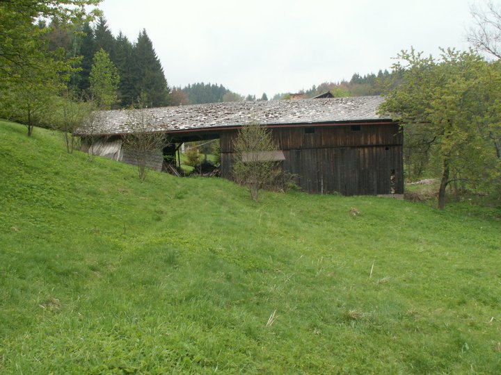 Brunnkress