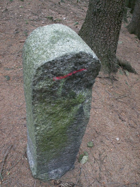 Brunnkress