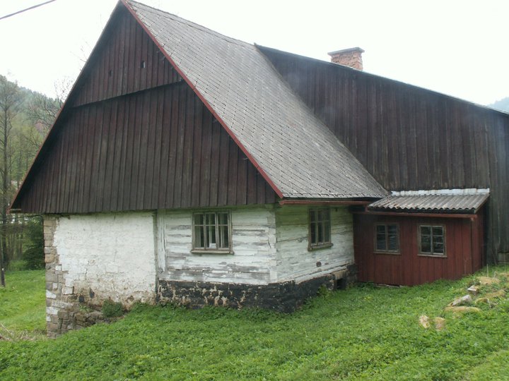 Brunnkress