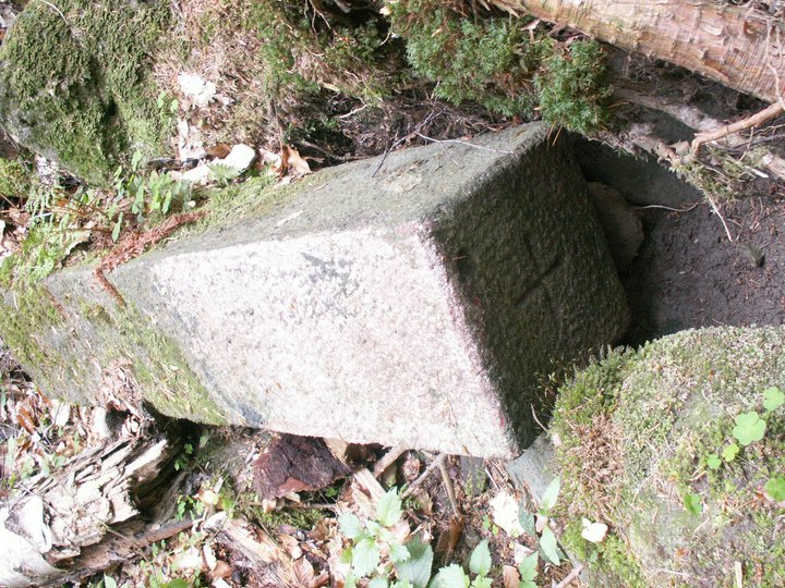Brunnkress