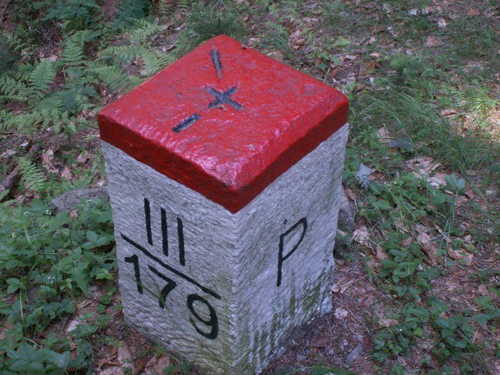Brunnkress