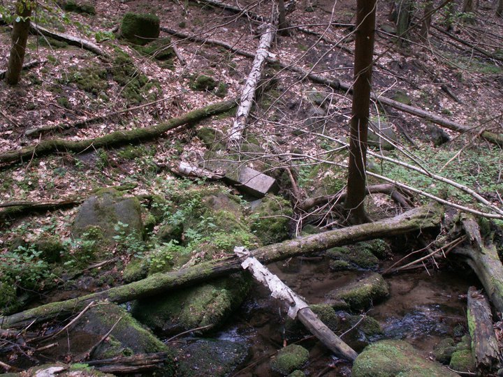 Brunnkress