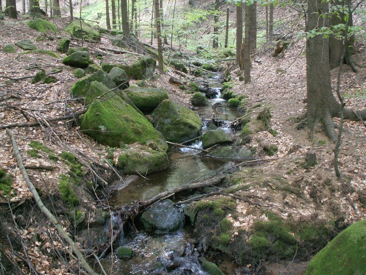 Brunnkress