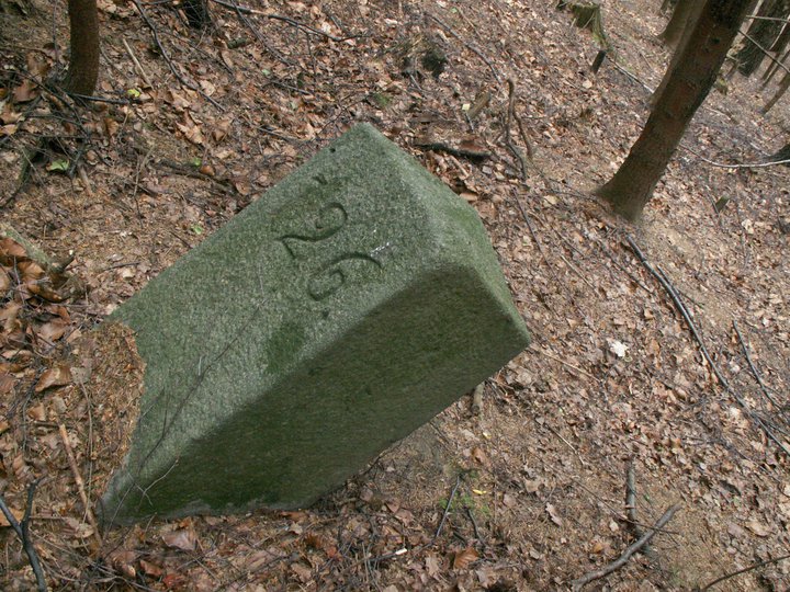 Brunnkress