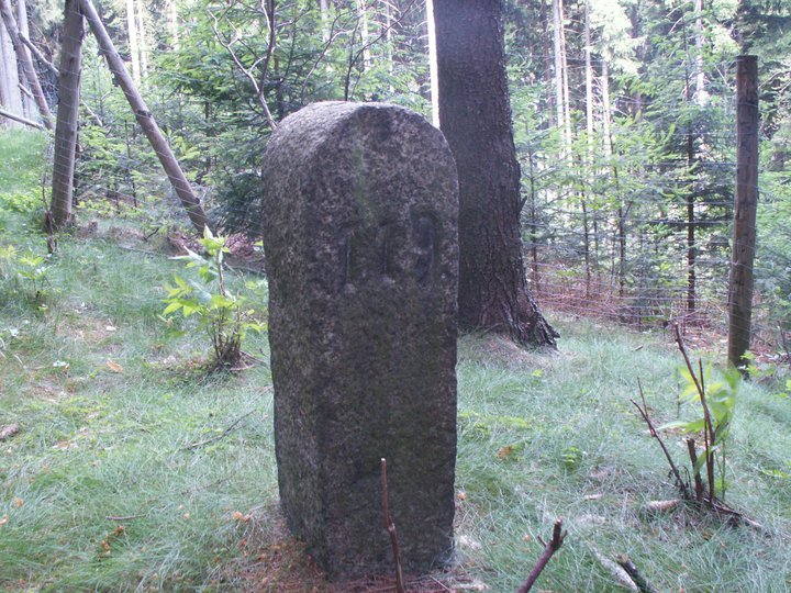 Brunnkress