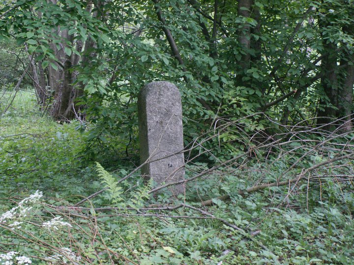 Brunnkress
