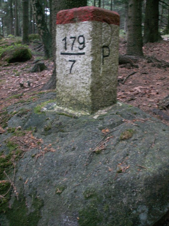 Brunnkress