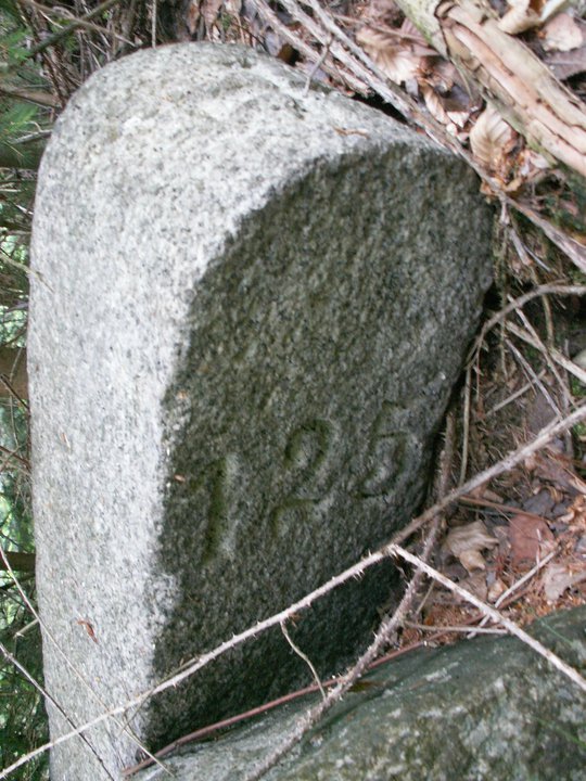 Brunnkress