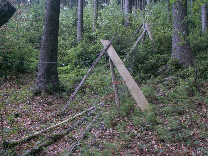 Brunnkress