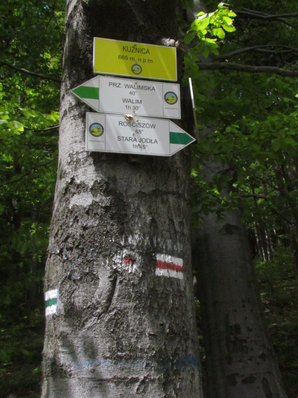 http://Fadel.myDS.me/Sudety/Chorwacka%20Studzienka/IMG_4572a.JPG