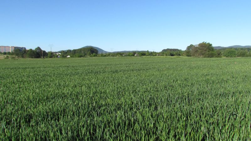 http://Fadel.myDS.me/Sudety/Hochenfriedeberg_2015/001.JPG