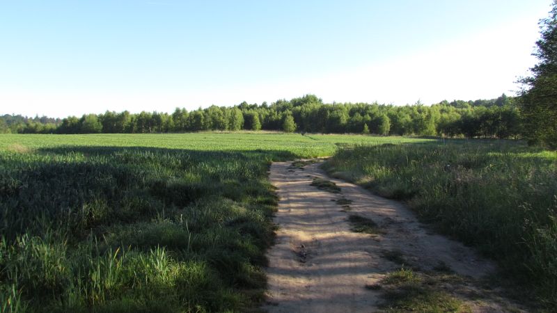 http://Fadel.myDS.me/Sudety/Hochenfriedeberg_2015/002.JPG