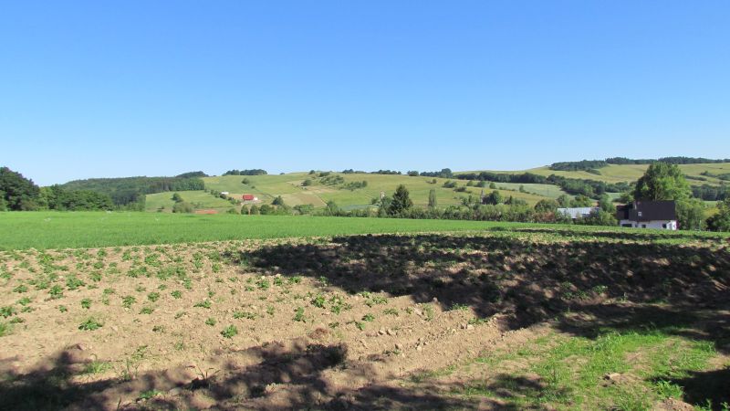 http://Fadel.myDS.me/Sudety/Hochenfriedeberg_2015/009.JPG