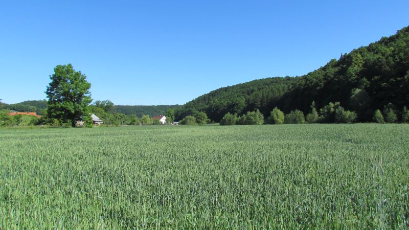 http://Fadel.myDS.me/Sudety/Hochenfriedeberg_2015/014.JPG