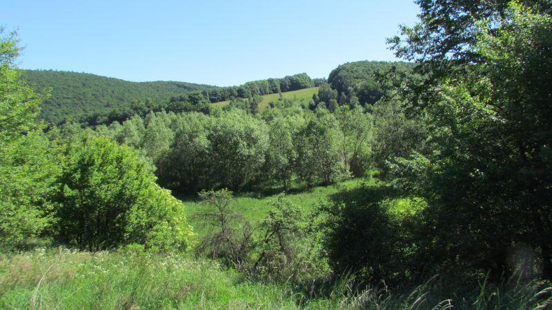 http://Fadel.myDS.me/Sudety/Hochenfriedeberg_2015/018.JPG