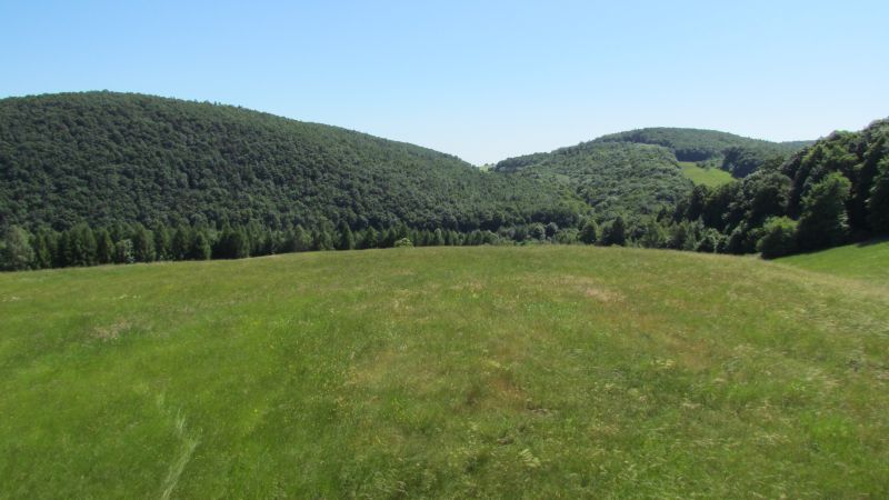 http://Fadel.myDS.me/Sudety/Hochenfriedeberg_2015/019.JPG