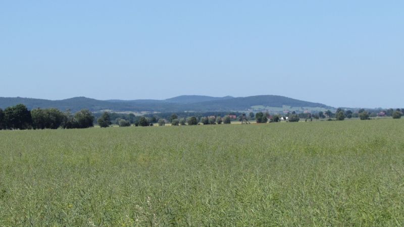 http://Fadel.myDS.me/Sudety/Hochenfriedeberg_2015/042.JPG