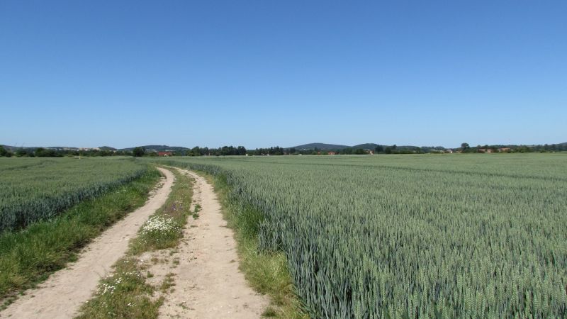 http://Fadel.myDS.me/Sudety/Hochenfriedeberg_2015/043.JPG